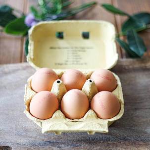 Large Chicken Eggs